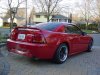 my stang1.jpg