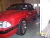 MUSTANG22 034.JPG