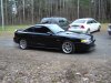 mustang 1 2008.JPG
