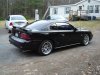 mustang 2 2008.JPG