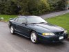 mustang1003.jpg