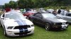 MoStang_N_GT500.jpg