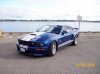 Ellenor 2008 SHELBY GT/SC # 1124 1 of 166 built W/