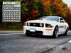 Mustang Calendar DEC 2009 V6.jpg