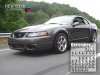 Mustang Calendar DEC 2009 V8.jpg