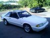 93 stang2.jpg