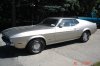 mustang 7307 001.jpg