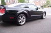 Mustang Pictures 004.JPG