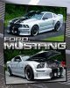 Mustang.jpg