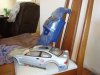 RC car 015.JPG