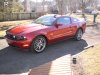 Stang 021.JPG