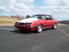 craigslistmustang 002.jpg