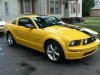 My Mustang 033.JPG