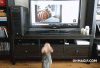 dog-excited-on-watching-jumping-dog-on-tv.gif