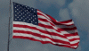 flag-wave.gif