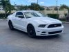 2014 Ford Mustang.jpg