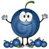 Blueberry68