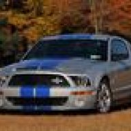 Shelby08KR0301