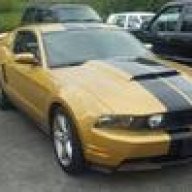 goldstang