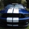 08ShelbyGT500