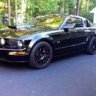 Mom's Black Stang