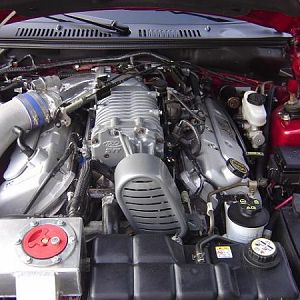 cobramike's 2004 cobra