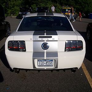 2007 Shelby and 2001 Bullitt