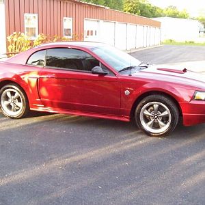 04 stang