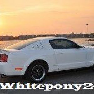 Da White Pony