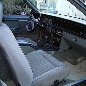 Not a pony but still a fox