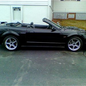 mustang2002ny