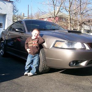 New stang -work in progress,close to finished!