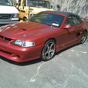 My Stang