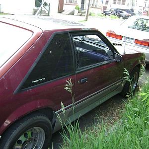 1987 gt 5.0 work in progress