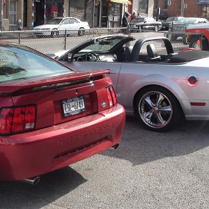 Resvon's mustang