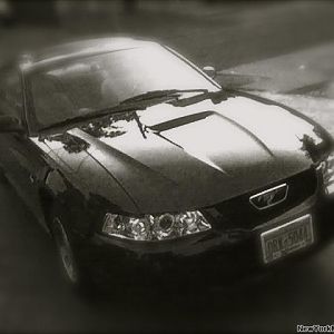 MY 2000 V6 (up on crutches)