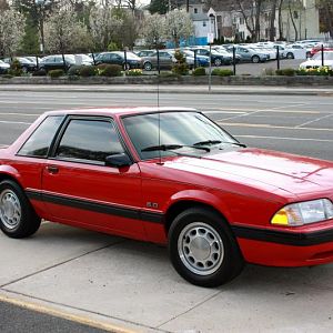 The Tint Shop Inc. Mustang Notchback