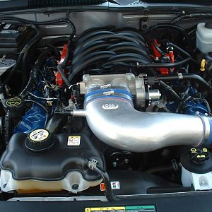 noclutch's foundation