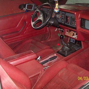 1984 1/2 gt-350 mustang