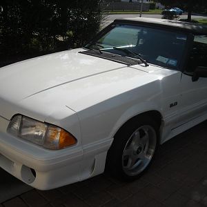 My Stang