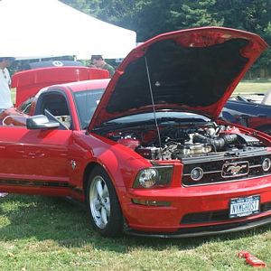 My v6 pony