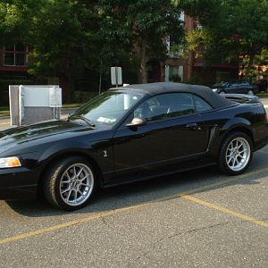 My 1999 Cobra SVT