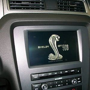 2010 GT500-waiting to come home!