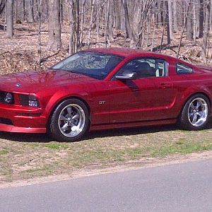 My Stang