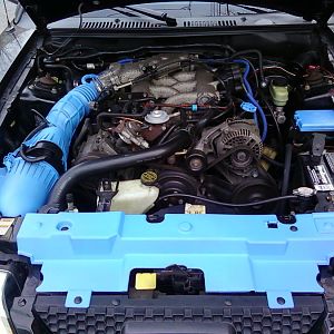 Painted under the hood work.