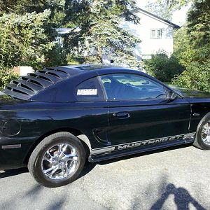 Newest Pics Of the stang