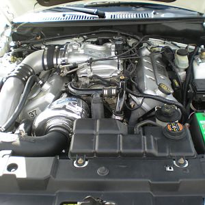 99 Cobra - Misc. Pics