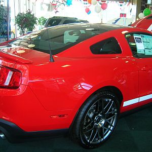 Steve Saleen Meet at Newins Ford