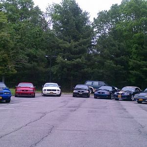 For The Love of Pets and People