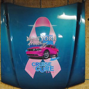 Cruise for a Cause 2011